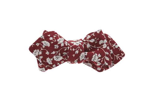 SS Poly 17 Butterfly with Points